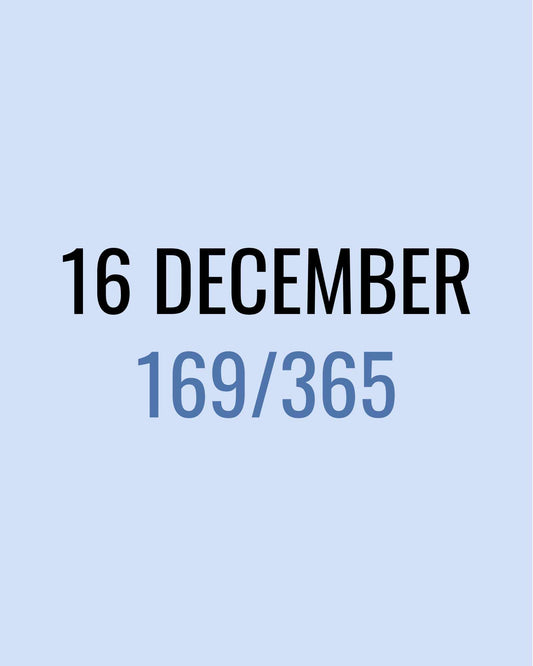 16 December – 168/365