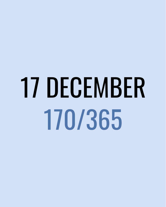 17 December – 169/365