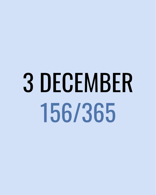 3 December – 156/365