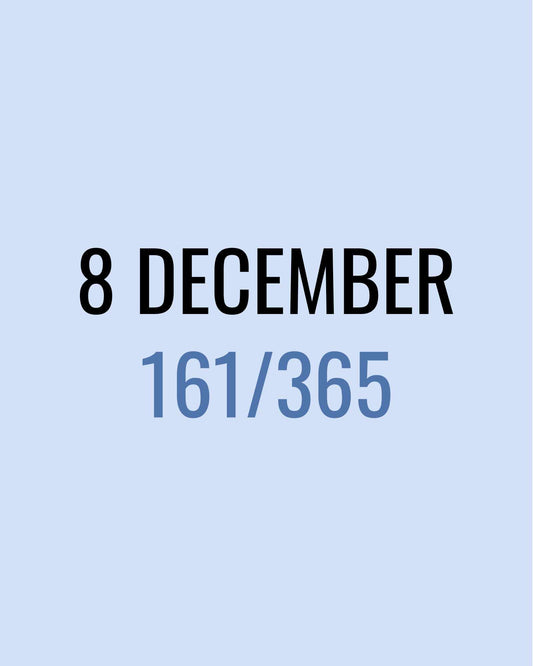 8 December – 161/365