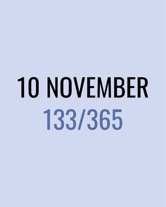10 November – 133/365