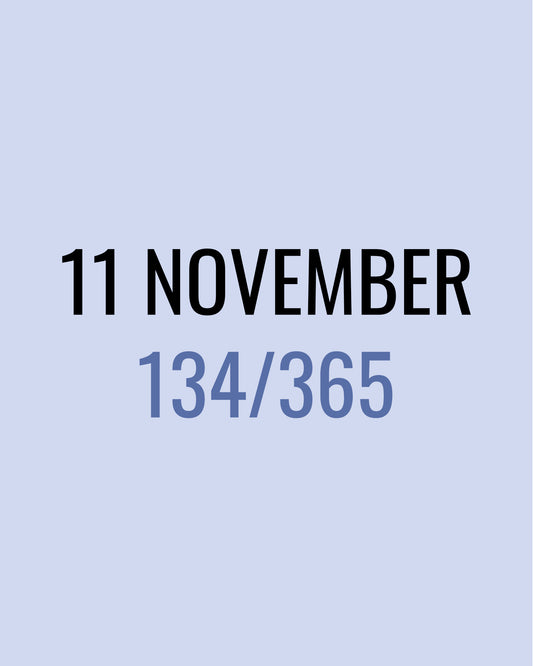 11 November – 134/365