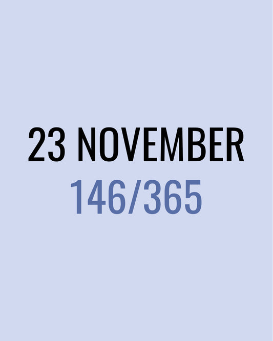 23 November – 146/365