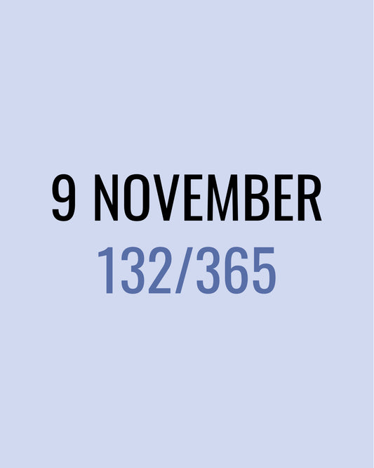9 November – 132/365